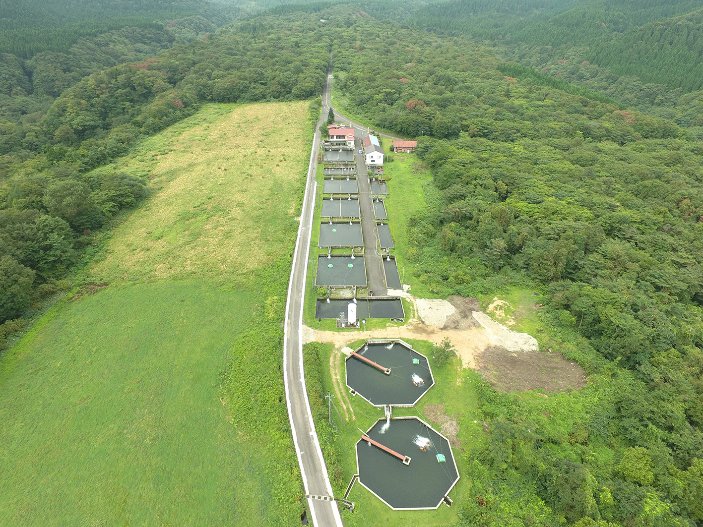 東大山養魚場