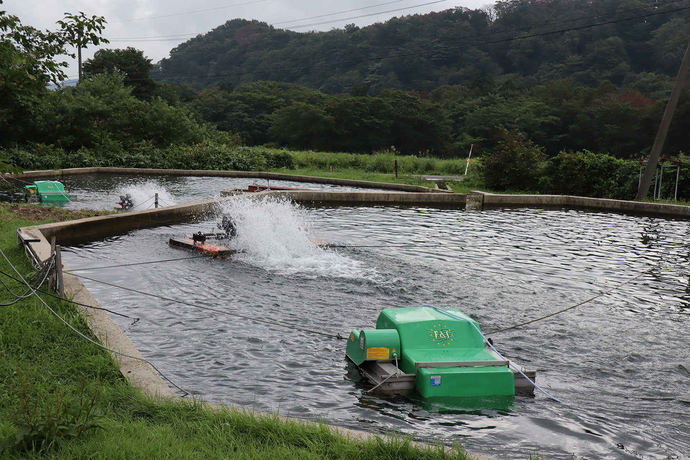 東大山養魚場