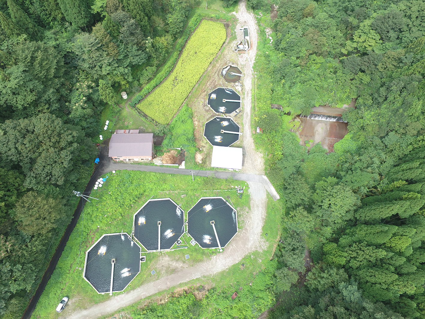 野添養魚場